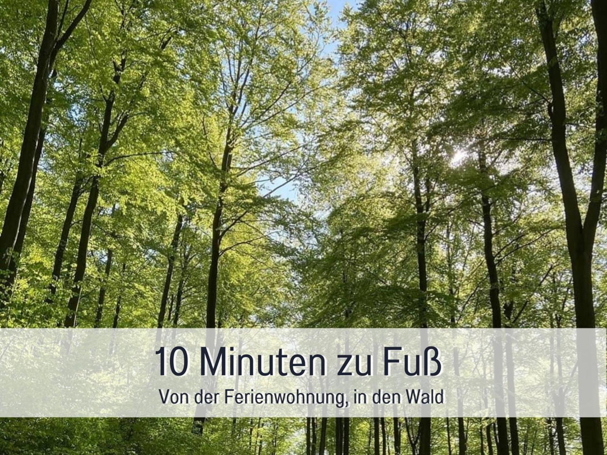 Am Feldrain - Urlaub Mit Hund Im Weserbergland Hannoversch Münden Екстериор снимка