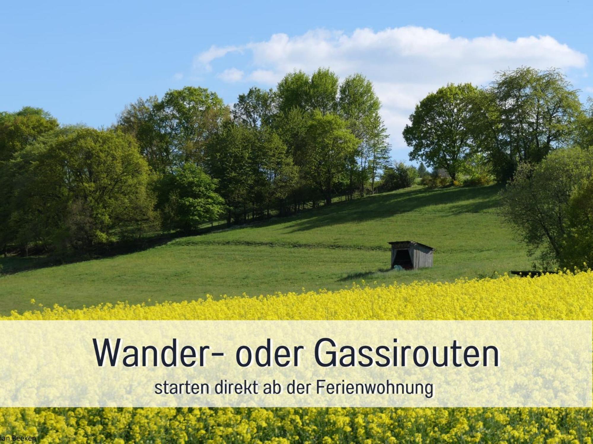 Am Feldrain - Urlaub Mit Hund Im Weserbergland Hannoversch Münden Екстериор снимка